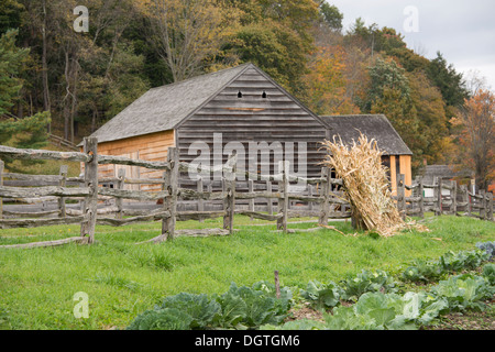 New York, Cooperstown, Farmers Museum. Fall cornstalks leaning on split rail fence in front of barn. Stock Photo