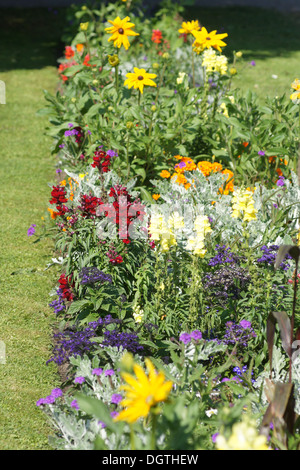 Flowerbed Stock Photo