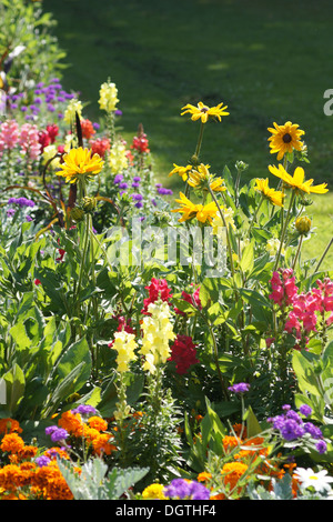 Flowerbed Stock Photo