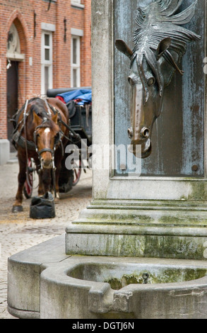 Bronze horse sculpture adorning a horse trough in Bruges mirrored by a carriage horse in the street eating from a nose bag Stock Photo