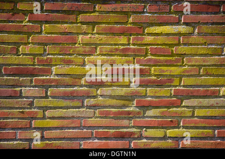 Old brick wall Stock Photo
