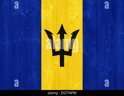 gorgeous Barbados flag painted on a wood plank texture Stock Photo