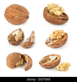 Walnuts isolated on white background Stock Photo
