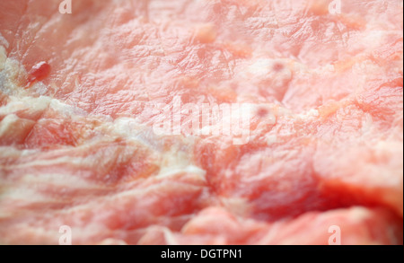 Pictured meat. Pork close-up Stock Photo