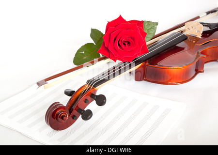 Viola with red roses on notes sheet Stock Photo