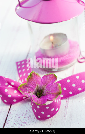 Pink petunia blossom Stock Photo