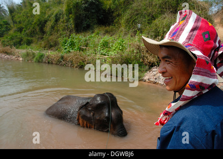 Elephant taking a bath in the water with Mahout watching, Elephant Festival, Ban Viengkeo, Hongsa, Xaignabouri Province Stock Photo