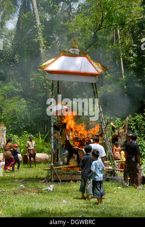 funeral rites nepal burning kathmandu pashupatinath dead bali alamy hinduism cow cremation ceremony body