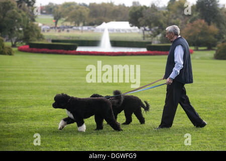 Washington, DC. 24th Oct, 2013. An unidentified White House staffer walks Bo and Sunny, the Obama family dogs, on the South Lawn of the White House, on October 24, 2013, in Washington, DC. Credit: Drew Angerer / Pool via CNP/dpa/Alamy Live News Stock Photo