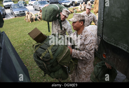 Marines with India Company, 3rd Battalion, 6th Marine Regiment, 2nd Marine Division, load their gear onto 7-ton trucks aboard Marine Corps Base Camp Lejeune, N.C. Oct. 18, 2013. Third Bn., 6th Marines recently conducted an activation and personnel movemen Stock Photo