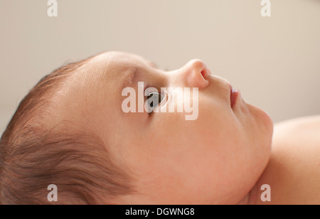 Baby's Profile Stock Photo