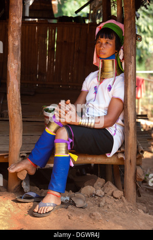Long-necked Padaung woman wearing neck rings, hill tribes, Chiang Rai, Northern Thailand, Thailand, Asia