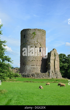 13th century Tretower Castle, Tretower, Brecon Beacons National Park, Powys, Wales, United Kingdom Stock Photo