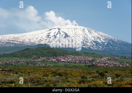 Mount Etna, Maletto, province of Catania, Sicily, Italy, Europe Stock Photo