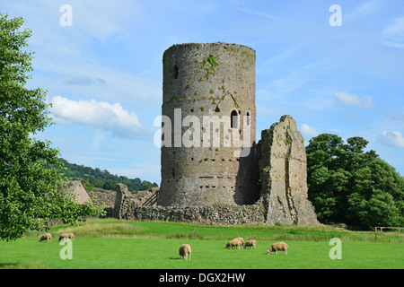 13th century Tretower Castle, Tretower, Brecon Beacons National Park, Powys, Wales, United Kingdom Stock Photo