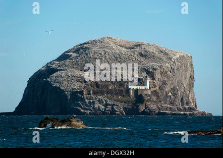 Bass Rock or The Bass, bird island, North Berwick, East Lothian, Scotland, United Kingdom Stock Photo