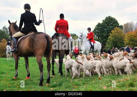 Houston, Renfrewshire, Scotland, UK. 26/10/2013. Lanarkshire & Renfrewshire Foxhounds gather for the first hunt of the season in the grounds of Houston House. Alamy Live News Stock Photo