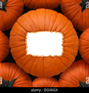 Pumpkin blank sign as a Halloween and thanksgiving celebration concept as a group of orange pumpkins and a centerpiece with a white copy space frame for a harvest time celebration message. Stock Photo