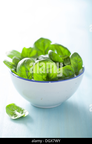 baby spinach leaves in bowl Stock Photo