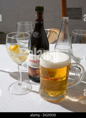warsteiner beer stein