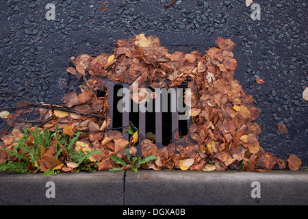 Roadside drain covered in autumn leaves Stock Photo