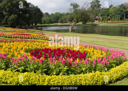 The National Kandawgyi Botanical Gardens are a world renowned botanical garden in Pyin Oo Lwin, Myanmar. Stock Photo