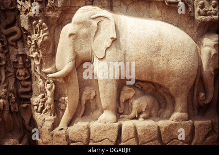 Amazing stone bas relief fragment with elephant in Mammallapuram, India, Tamil Nadu Stock Photo
