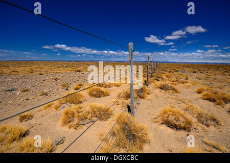 Fence in a steppe landscape, Monte Leon National Park, Rio Gallegos, Patagonia, Argentina, South America Stock Photo