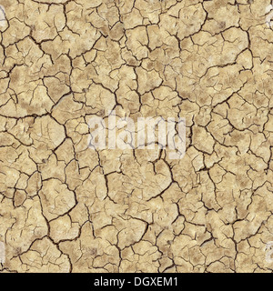 Cracked Clay Ground (Seamless Texture) Canvas Print for Sale by