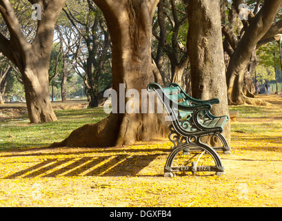 Lalbagh Botanical Garden Stock Photo