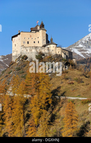Tarasp Castle surrounded by an autumn-coloured larch forest, Scuol, Lower Engadin, Grisons, Switzerland, Europe Stock Photo