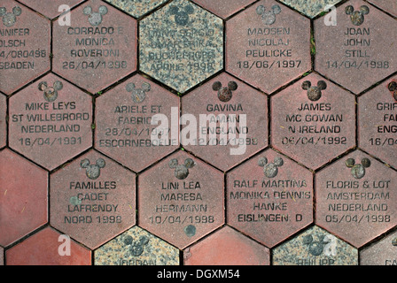 Sidewalk in Disneyland, paved figured tiles. Stock Photo