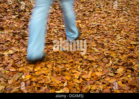 Person walking along a woodland path covered in autumn leaves Stock Photo