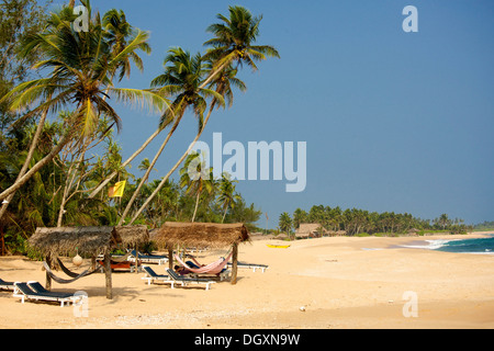 Beach and sand, palm trees and covered hammocks under a blue sky, Tangalle, Sri Lanka, Asia Stock Photo