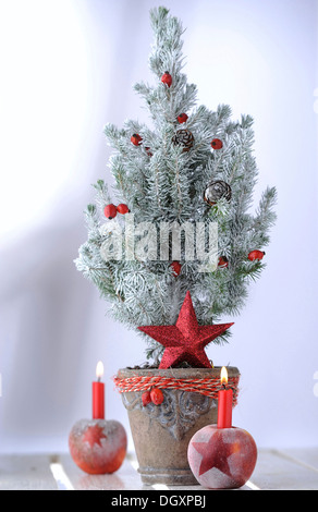 Christmas ambience with red apples, candles and a small Christmas tree Stock Photo