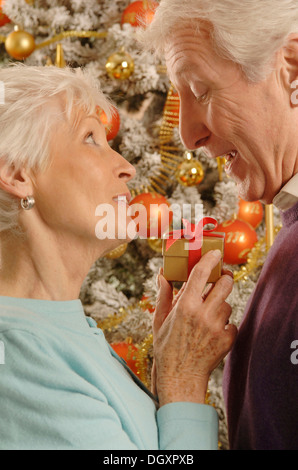 Mature couple exchanging presents in front of a Christmas tree Stock Photo