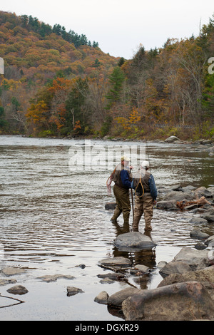 Two elderly fly fishermen return to the shore of the Housatonic river in Litchfield county, Connecticut after a day of fishing. Stock Photo