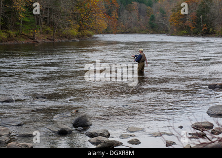 Elderly fly fisherman casts into the Housatonic river in Litchfield county, Connecticut. Stock Photo