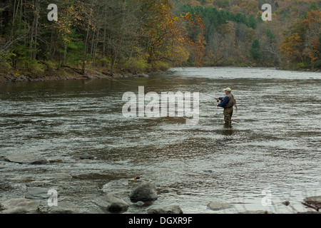 Elderly fly fisherman casts into the Housatonic river in Litchfield county, Connecticut. Stock Photo