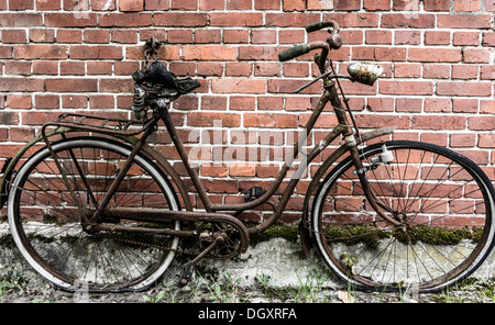 Old rusty bicycle