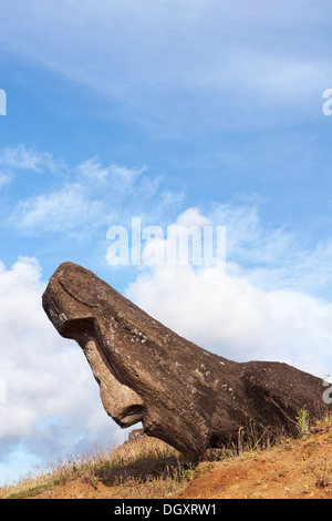 Leaning statue in Rano Raraku moai quarry on Easter Island Stock Photo