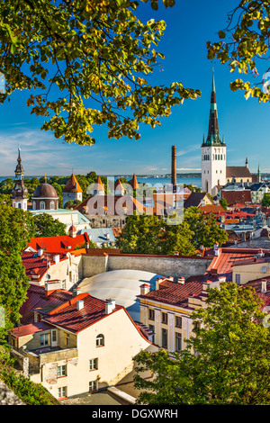 Skyline of Tallinn, Estonia at the old city. Stock Photo