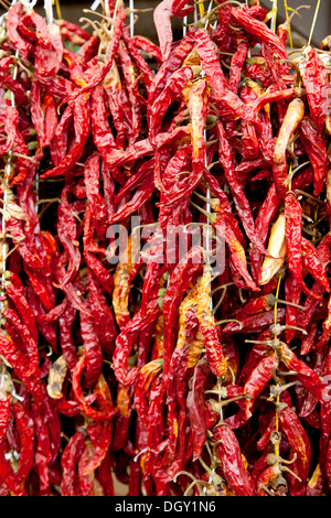 Dried chilli peppers in the vegetable market in Rovinj, Rovingo, Istria, Croatia, Europe, Rovinj, Croatia Stock Photo