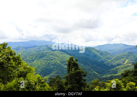 Morning Mist at Tropical Mountain Range, Chiangrai,Thailand Stock Photo