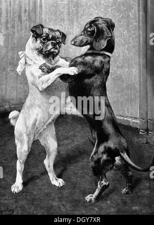 Reunion after the end of the dog ban, an illustration from the Moderne Kunst in Meisterholzschnitten yearbook, 1900 Stock Photo