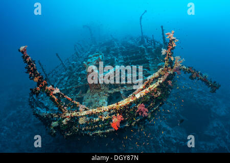 Aida shipwreck, Brother Islands, Egypt Stock Photo