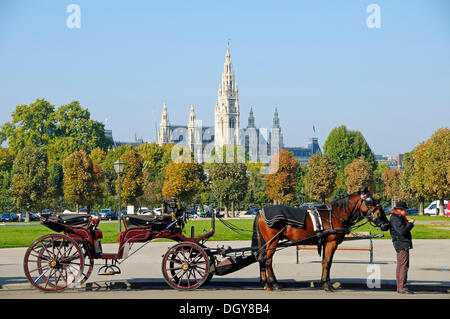 Fiaker, horse-drawn carriage with a driver in front of Vienna City Hall, Vienna, Austria, Europe Stock Photo