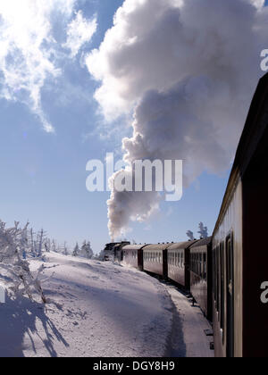 Brocken Railway on the way to Brocken Mountain, Harz, Lower Saxony Stock Photo