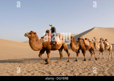 Camel caravan with tourists in front of the sand dunes of the Gobi Desert and Mount Mingshan near Dunhuang, Silk Road, Gansu Stock Photo