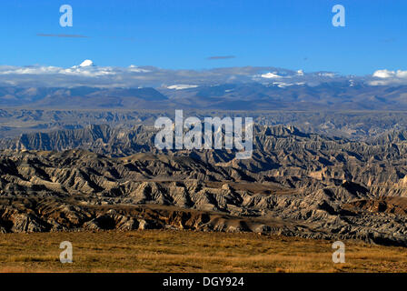 Canyon landscape around the Sutlej River in the ancient Kingdom of Guge, Western Tibet, the Himalayas, Ngari province, Tibet Stock Photo